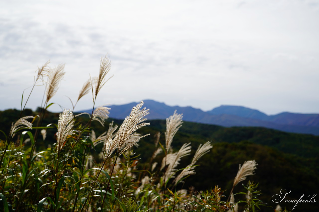 北海道積丹町・鰊漁で栄えた町の趣を現代に！『もっこ de ピクニック 第1弾』～ 主催：澗 Hiroma and 鰊伝習館ヤマシメ番屋